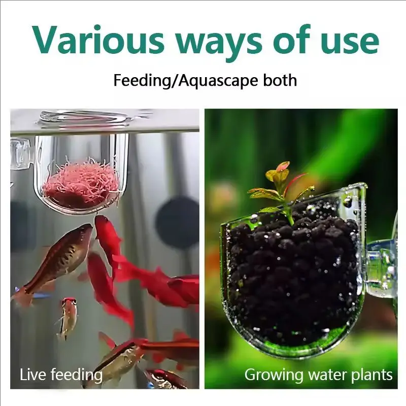 Soporte de succión y colocación en el acuario