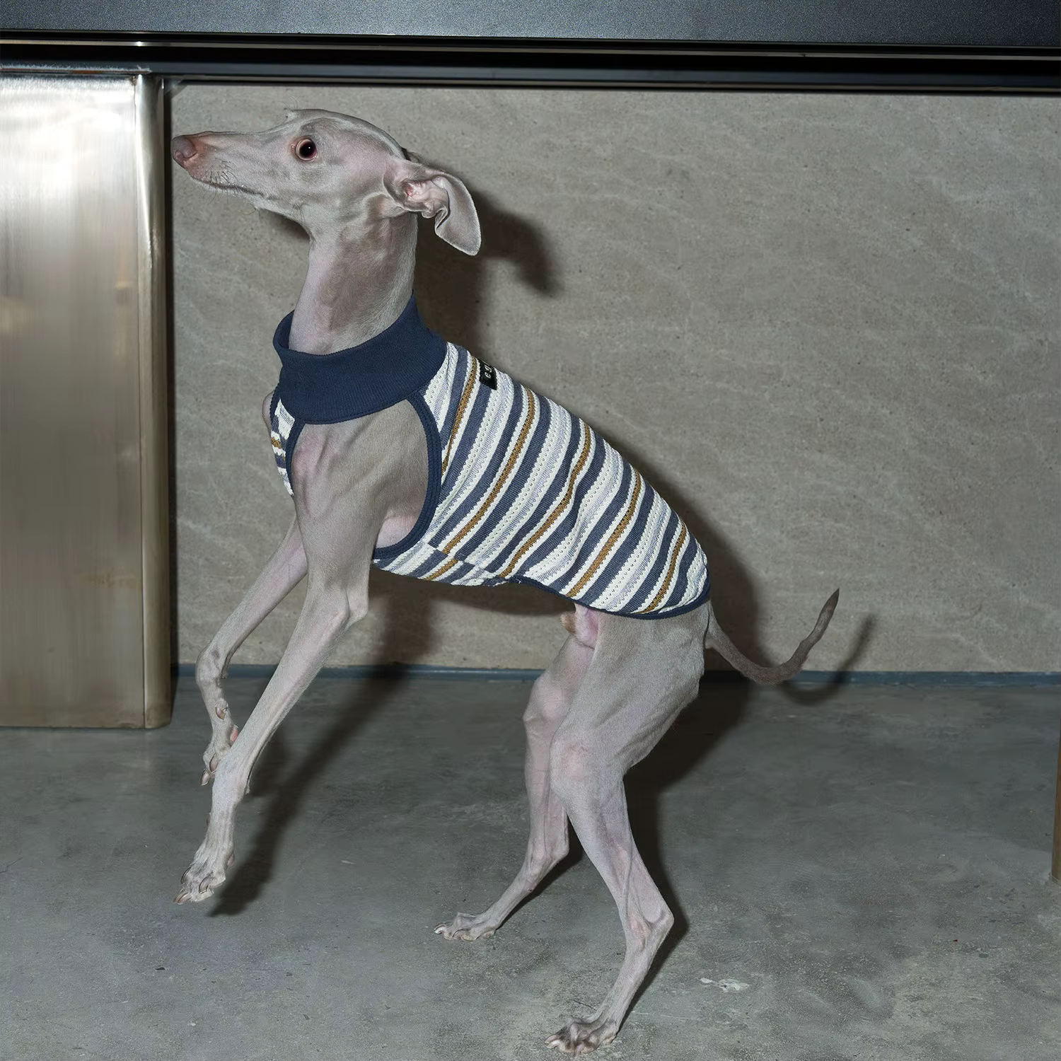 Chaleco punto calado sin mangas para Whippet y Galgo Italiano - imagen 2