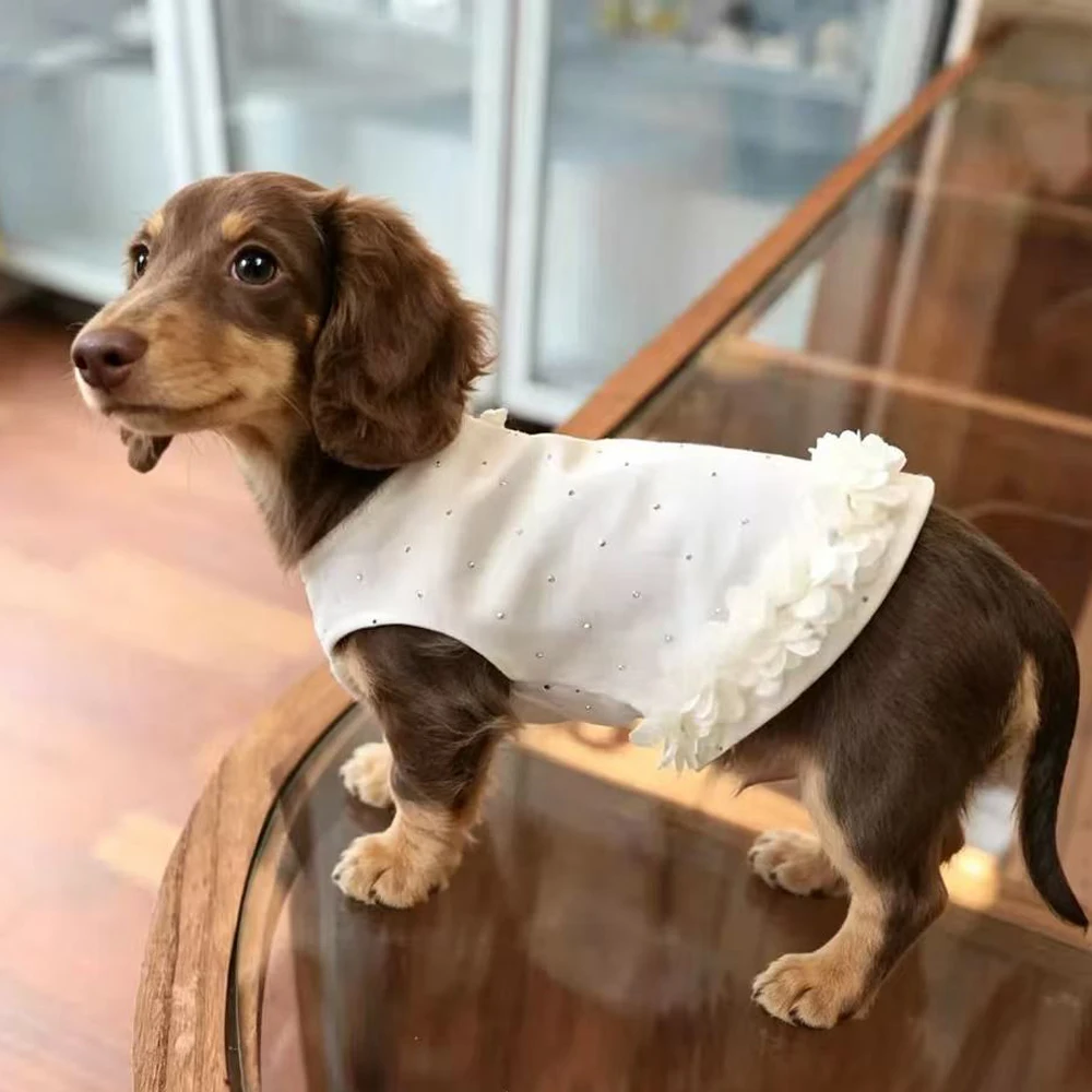 Prenda ligera de verano para perro pequeño