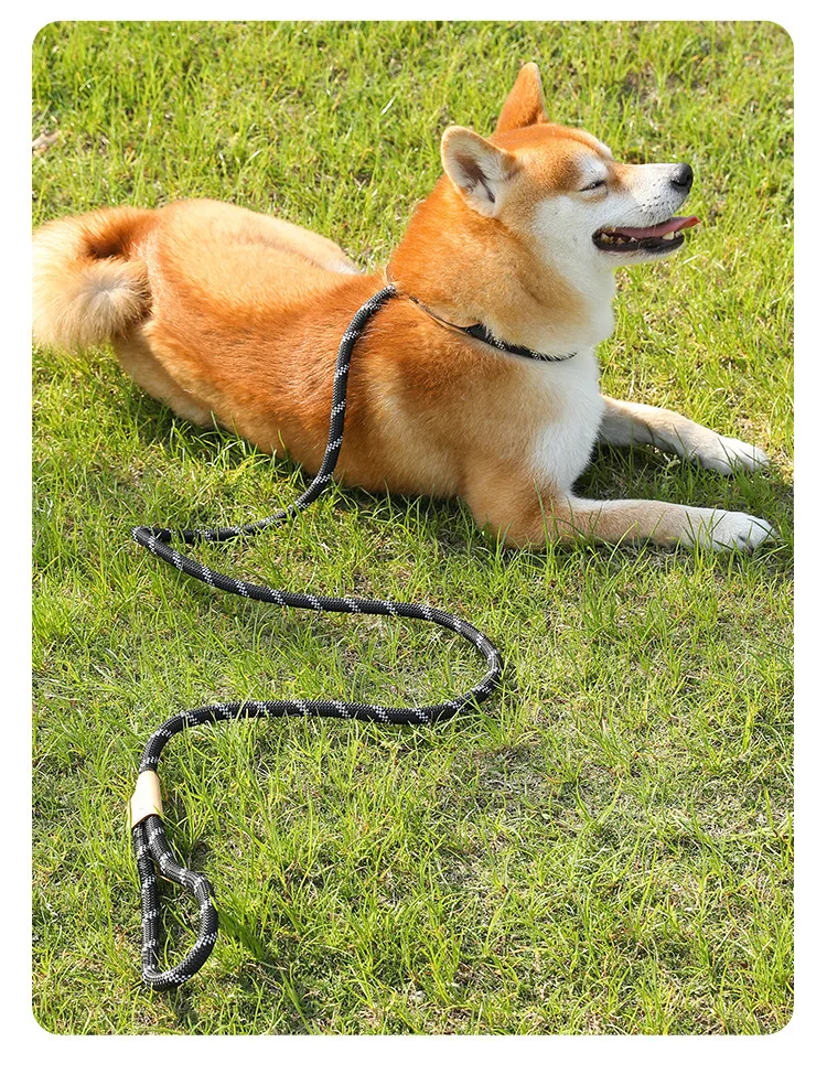 Correa de adiestramiento para perros: cuerda trenzada resistente - imagen 2