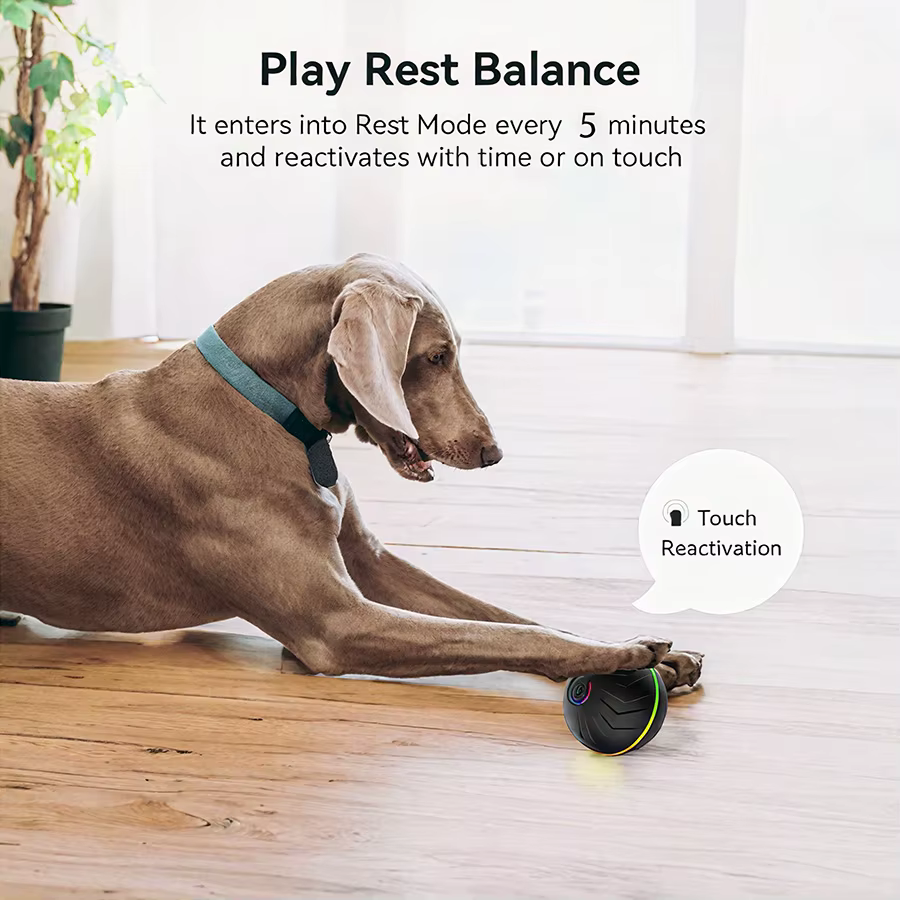 Pelota interactiva PetTumbly en color verde con diseño ergonómico