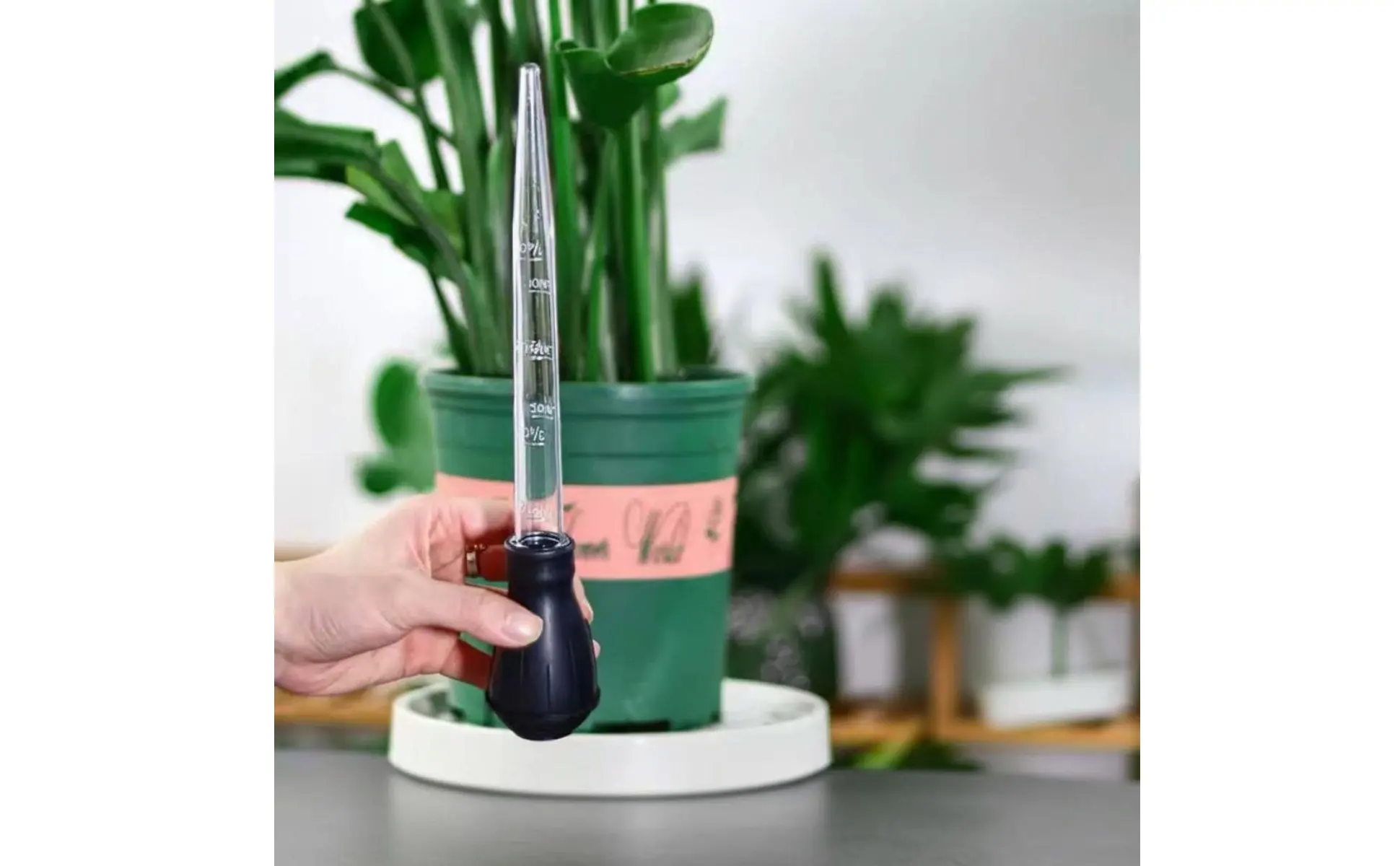 Extractor de agua para plantas con diseño práctico