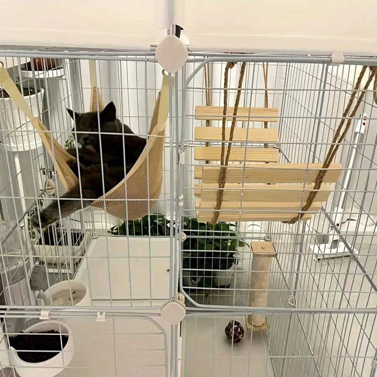 Escalera de madera natural para gatos en contexto de uso
