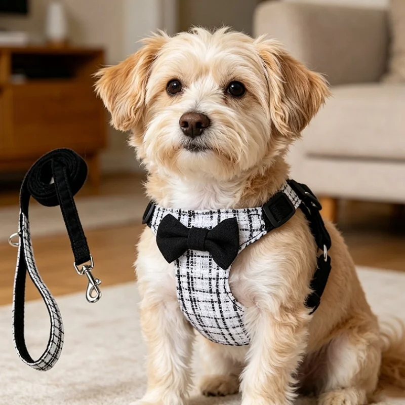 Arnés a Cuadros para Pasear Perro y Gato Pequeño con Correa Ajustable - imagen 4