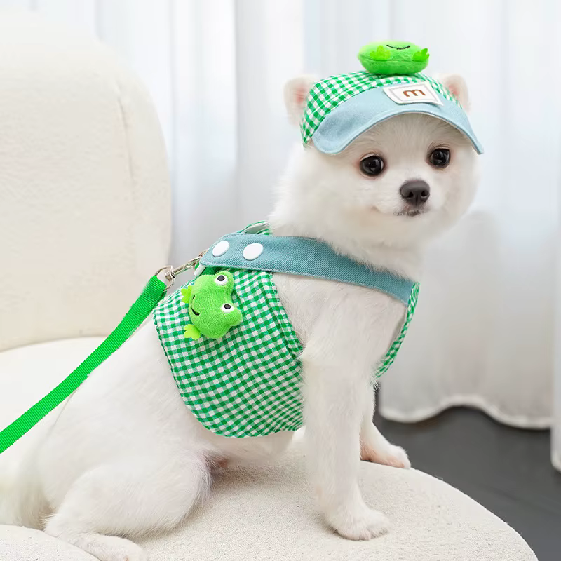 Ropa de verano a cuadros para cachorro: arnés, correa y sombrero