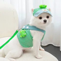 Ropa de verano a cuadros para cachorro: arnés, correa y sombrero