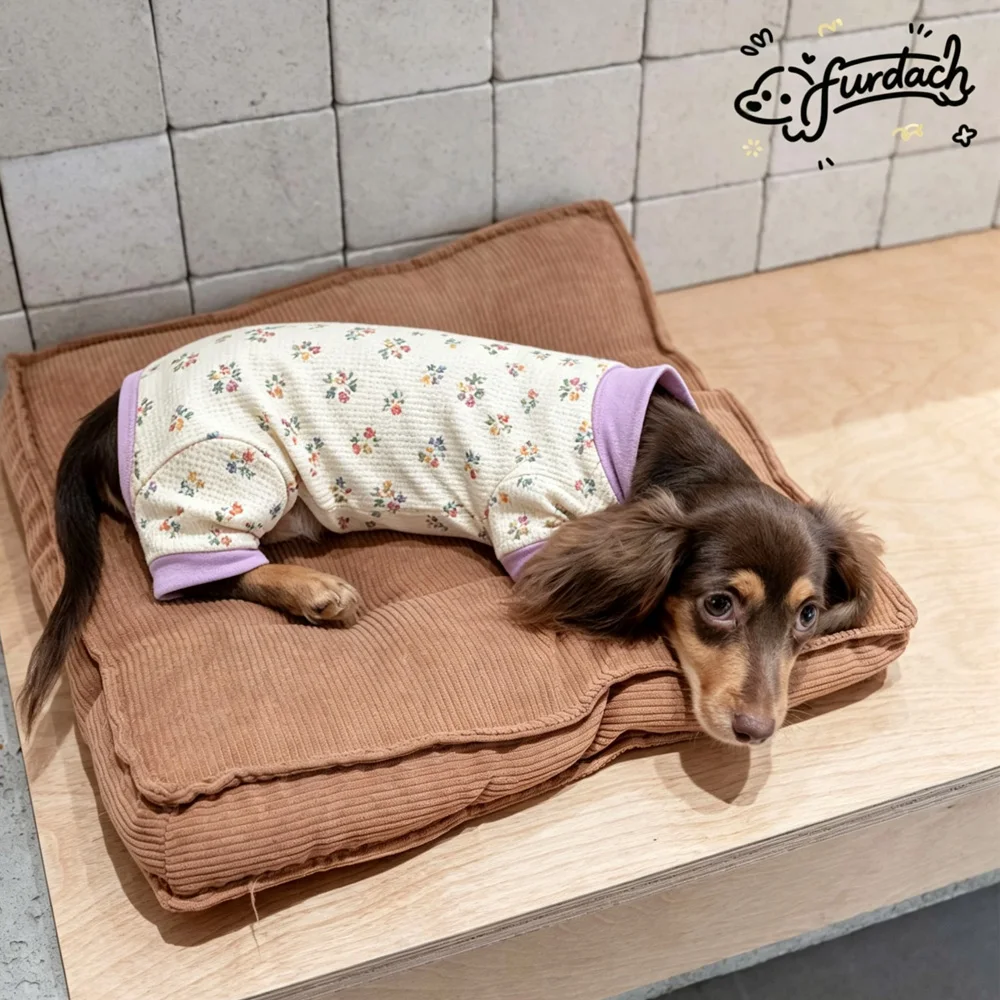 Sudadera suave de algodón para Dachshund miniatura – mono cuatro patas - imagen 4
