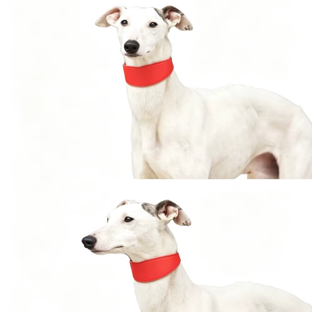 Collar de cuero rojo ajustable para perros medianos y grandes - imagen 3