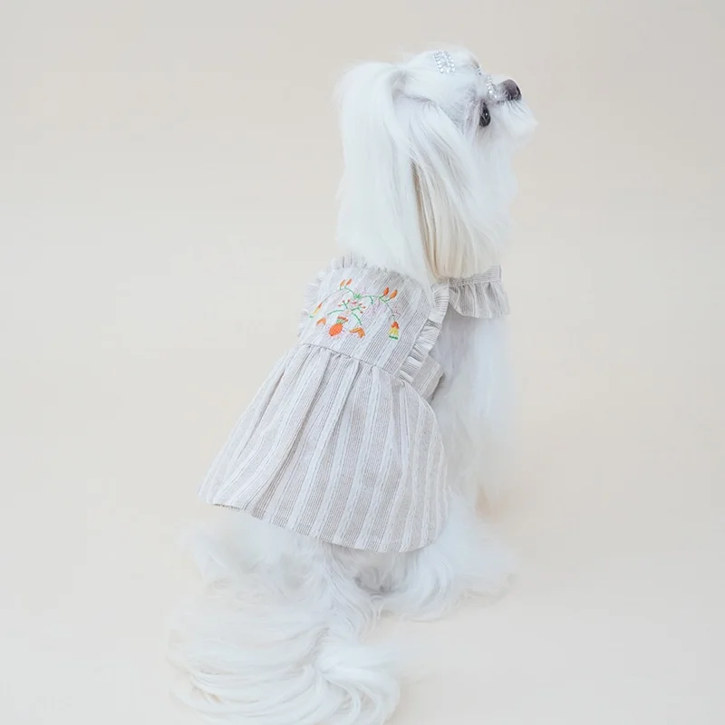 Bordados resistentes en ropa para perro
