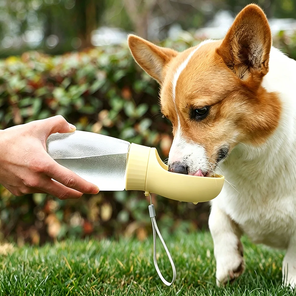 Botella de agua portátil con tazón para perros, gatos y Chihuahua - imagen 4