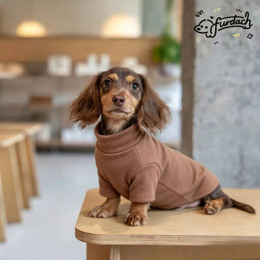 Vista del diseño para dachshund