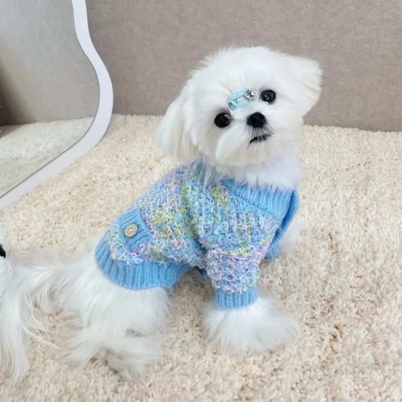 Perro pequeño usando el suéter de punto en exteriores