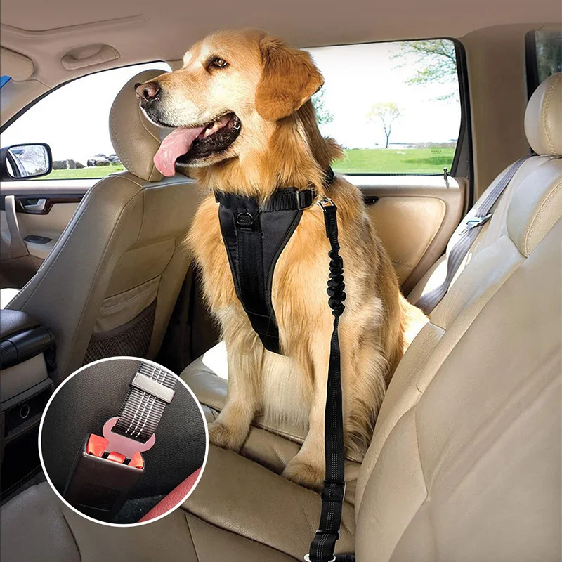 Cinturón de seguridad para perros con amortiguación y reflectante - imagen 2