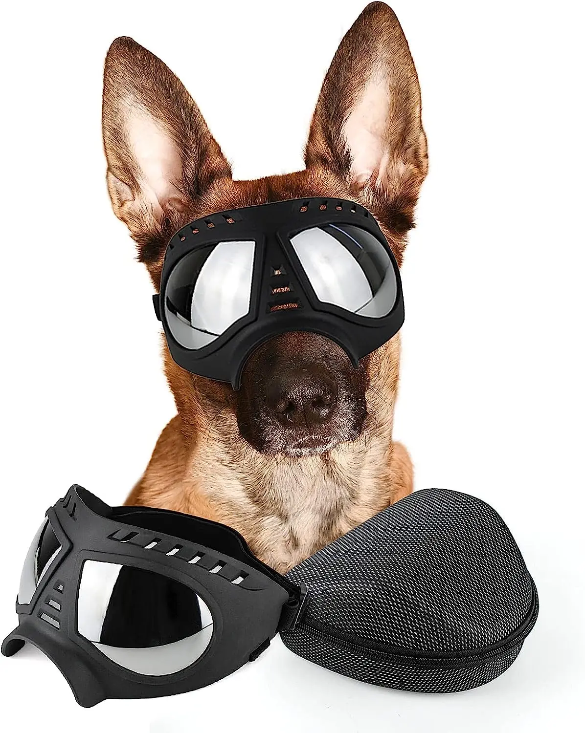Gafas de sol transparentes Anti-UV para perro en uso