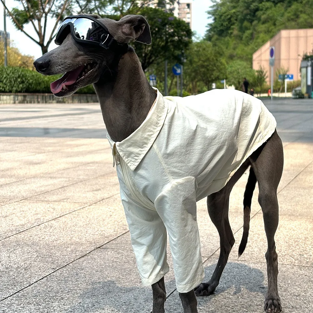Camiseta anti-UV para perros Greyhound y Whippet, secado rápido - imagen 2