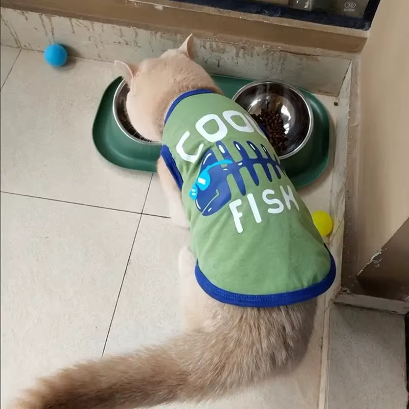 Camiseta de Algodón para Gato Sphynx – Chaleco Estampado de Letras