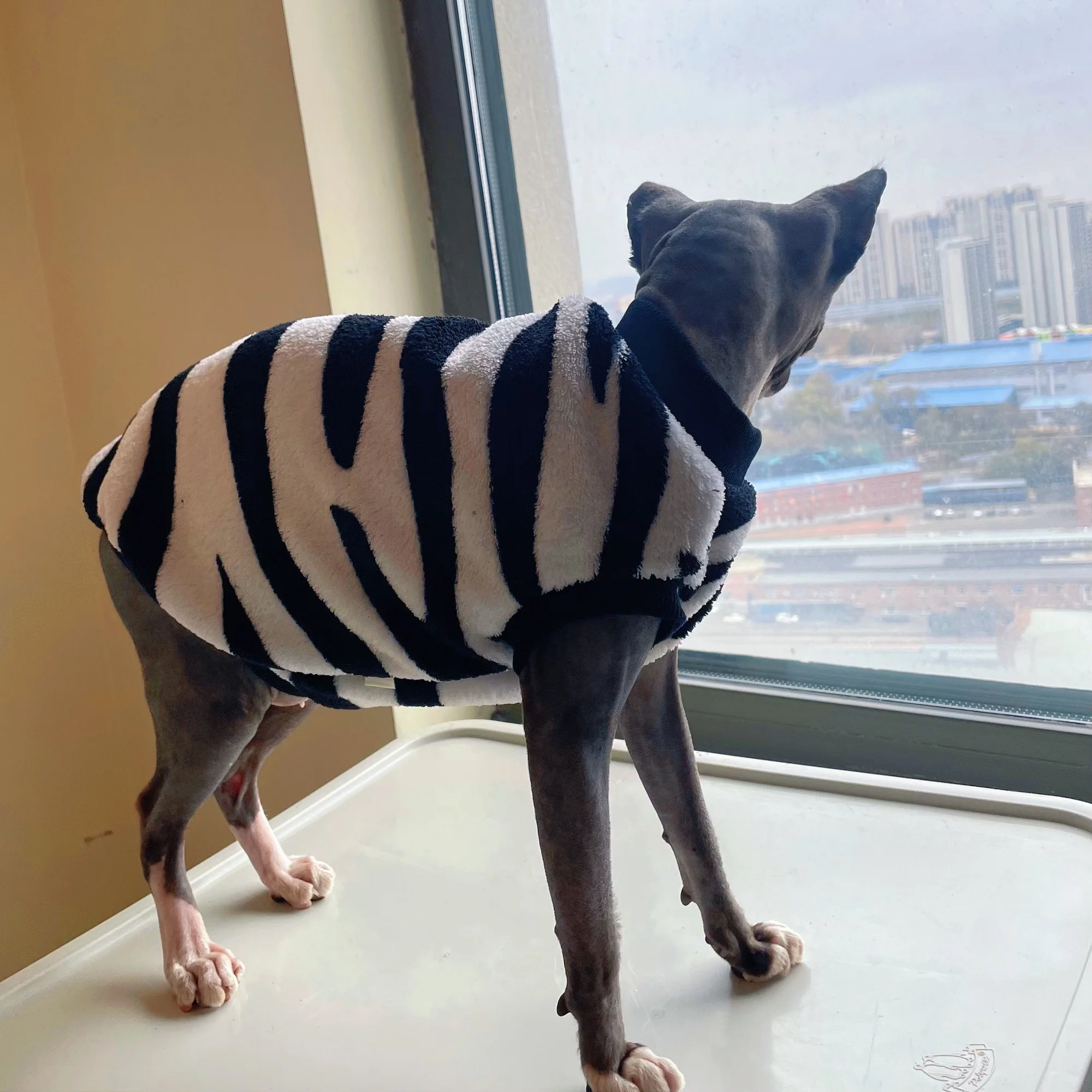 Sudadera extendida para secado