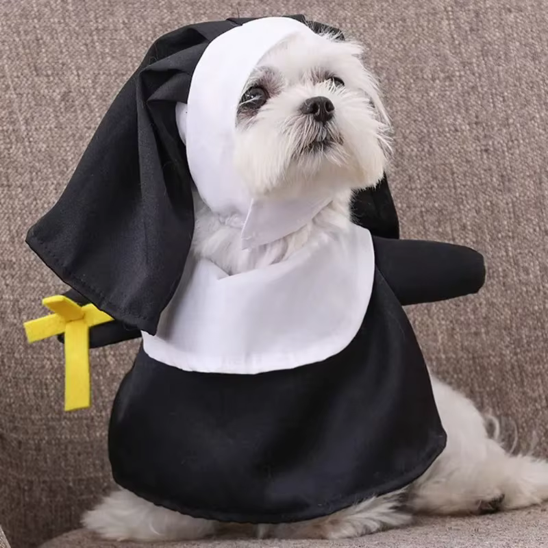 Perro con disfraz de monja en posición erguida