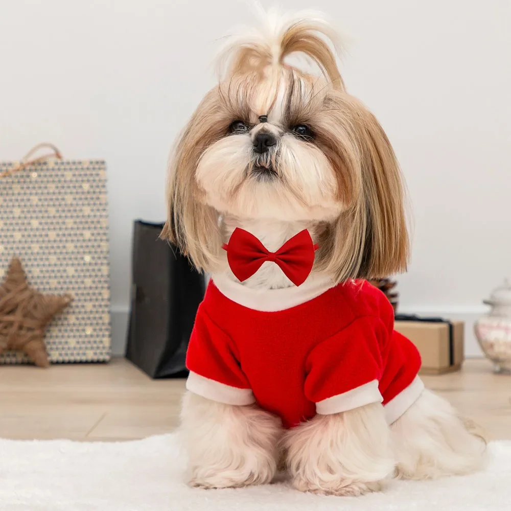 Pack de 50 corbatas para perros