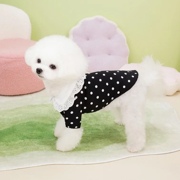 Perro jugando con sudadera