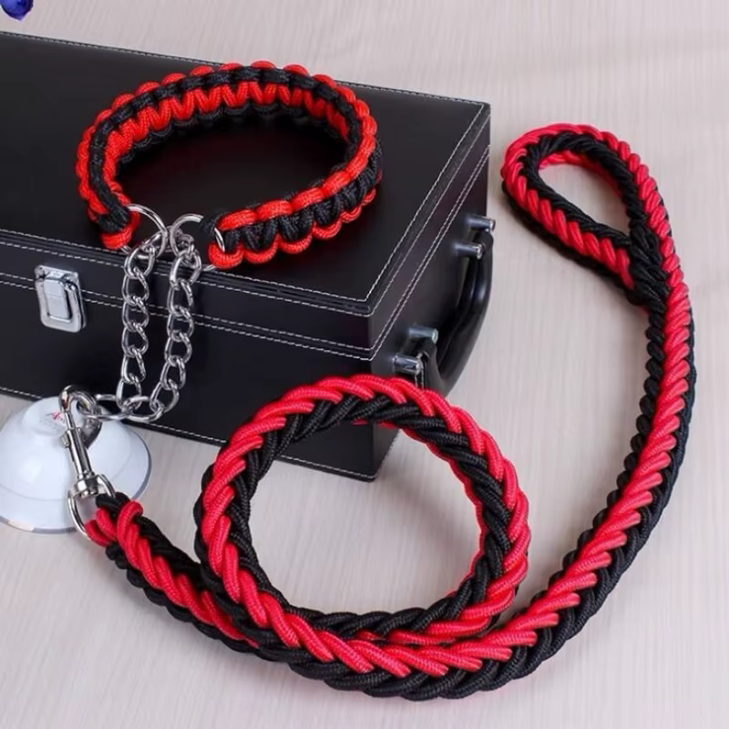 Set correa y collar trenzados para perros - imagen 2