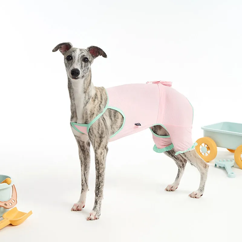 Conjunto verano completo para perros