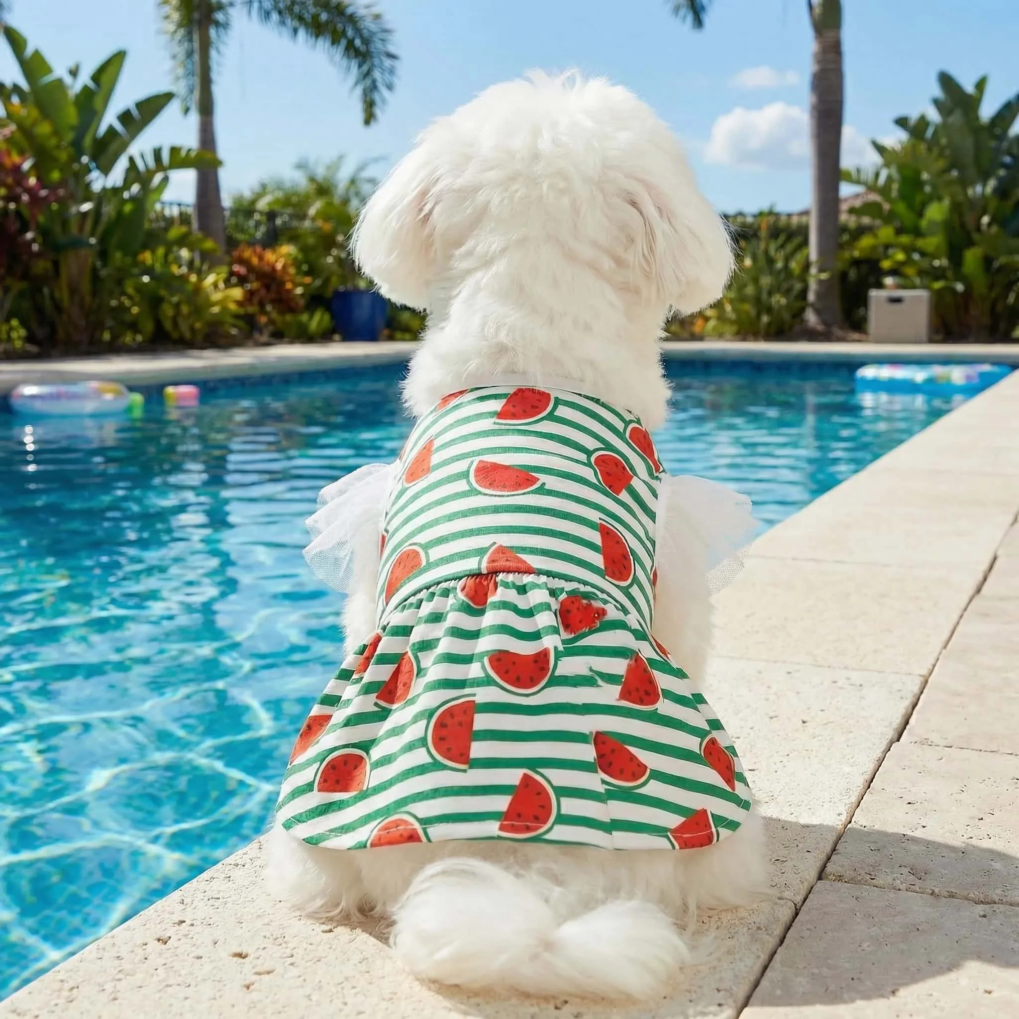 Detalle de mangas acampanadas del vestido para perro