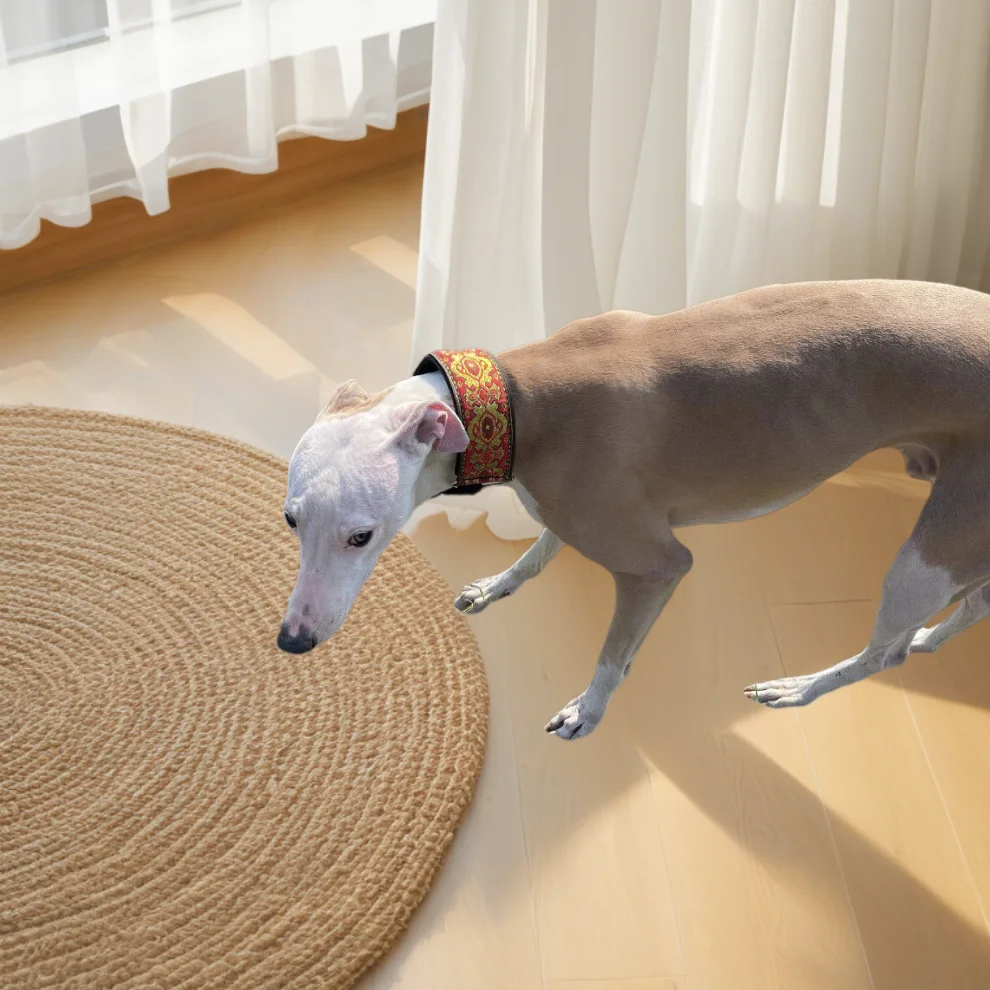 Collar cálido étnico para Whippet y galgo italiano punk de invierno - imagen 5