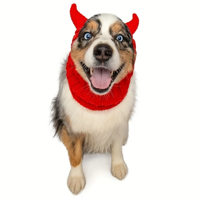 Close up of crochet devil horns on pet hat