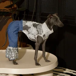 Mono vaquero con encaje floral transpirable para perritas, Whippet