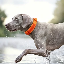 Collar táctico con asa ajustable militar para perros medianos-grandes