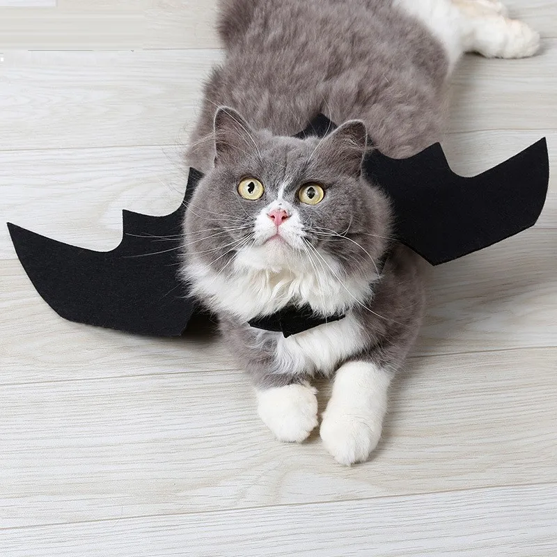 Alas de murciélago para disfraz de Halloween