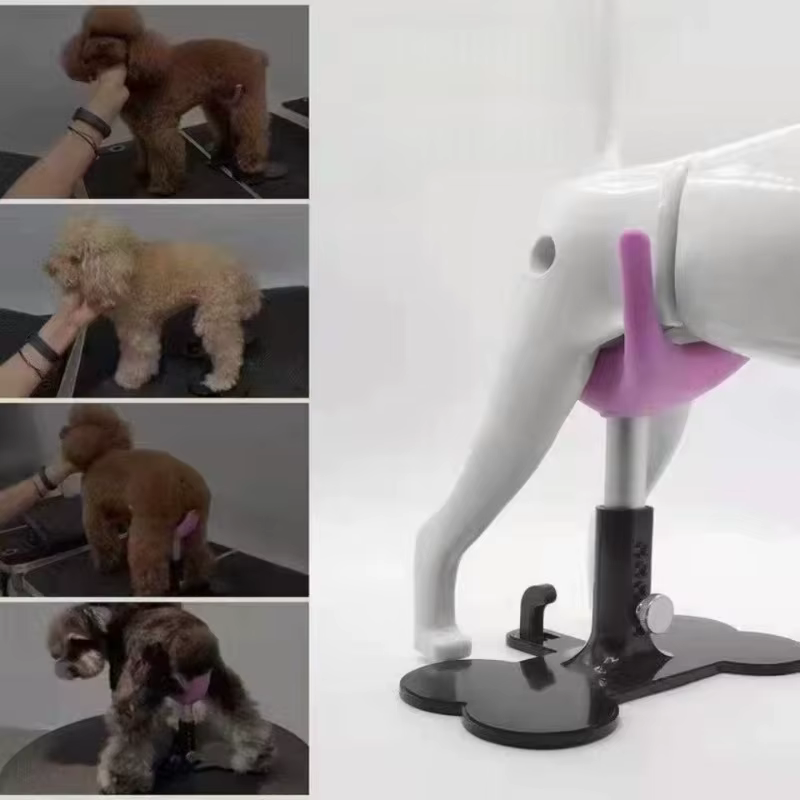 Soporte ajustable para peluquería canina en uso real con perro de tamaño mediano