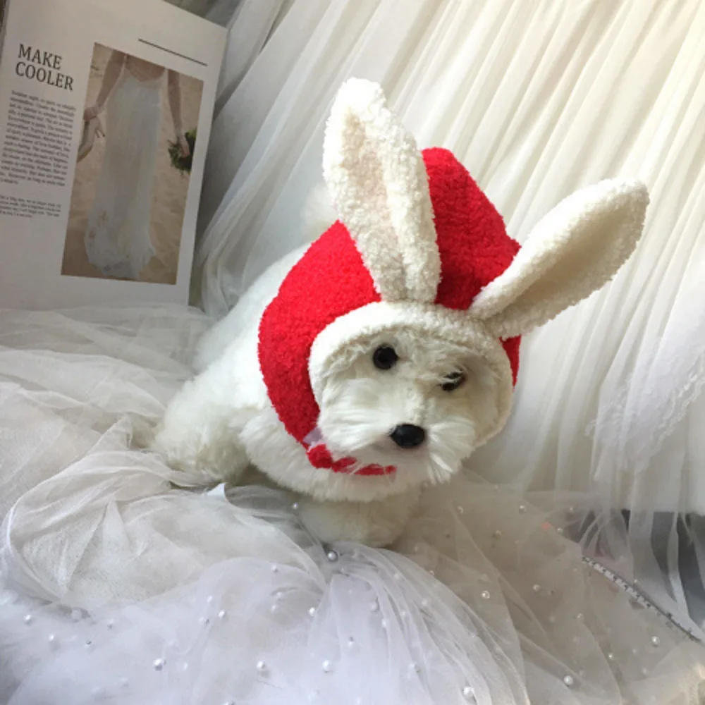 Perro pequeño con auriculares rojos