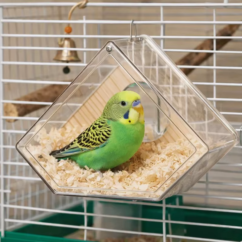 Caja nido transparente para loros y aves – Montaje exterior