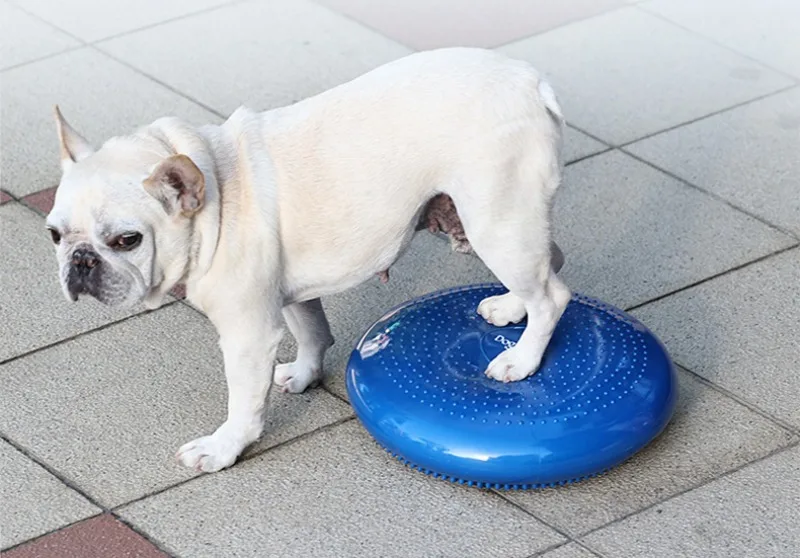 Cojín azul para perros y gatos