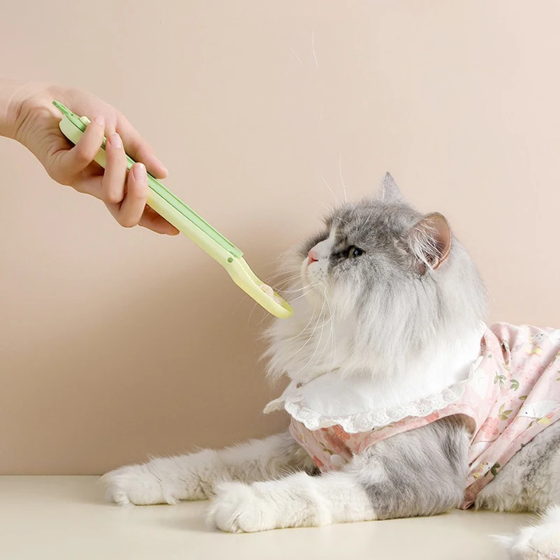 Cuchara de alimentación para gatos en uso