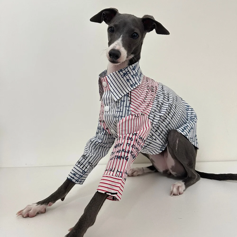 Imagen lateral del perro con la ropa