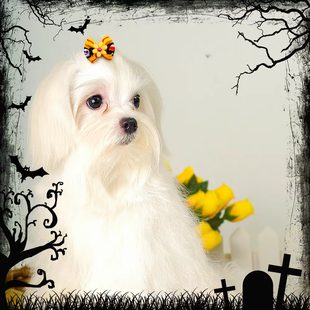 Lazos para el pelo de perros pequeños hechos a mano en Halloween - imagen 5