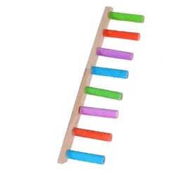 Escalera multijuguete para loros y aves pequeñas – Columpio y peldaños interactivos