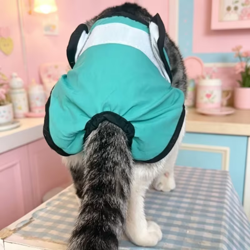 Pañales fisiológicos reutilizables para perros y gatos - imagen 3