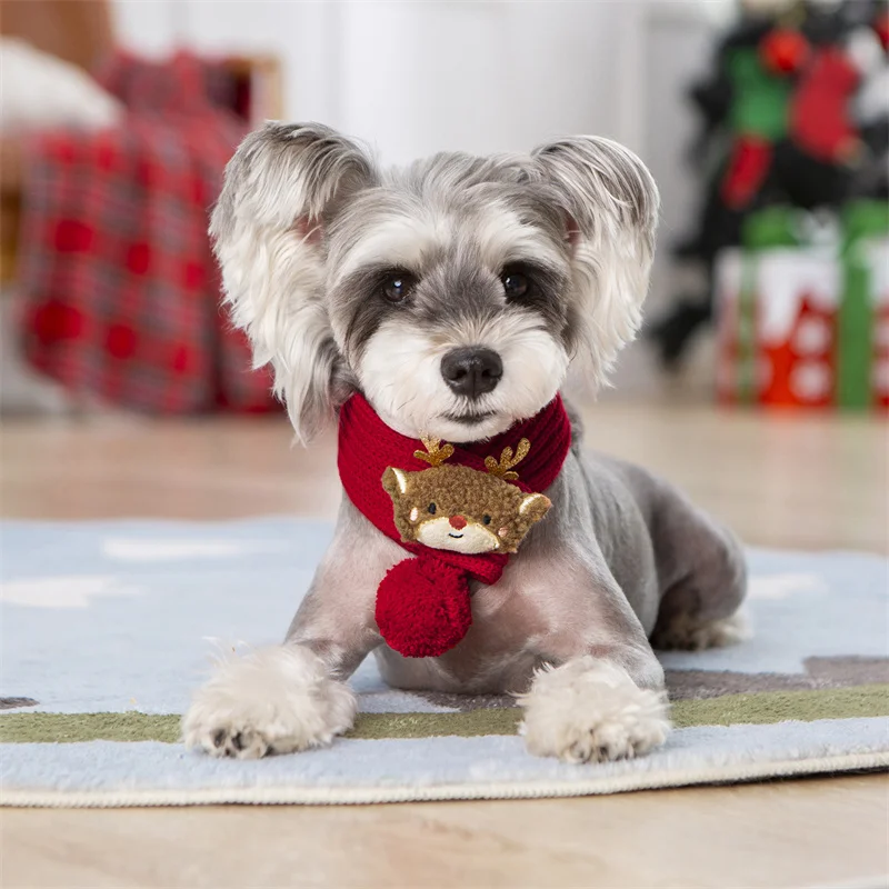 Vista completa de la bufanda roja para perro pequeño