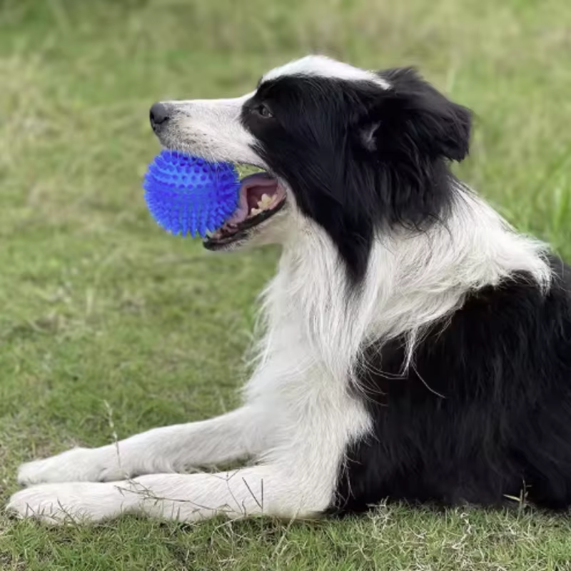 Pelota dental chirriante con púas para perros y gatos - imagen 5
