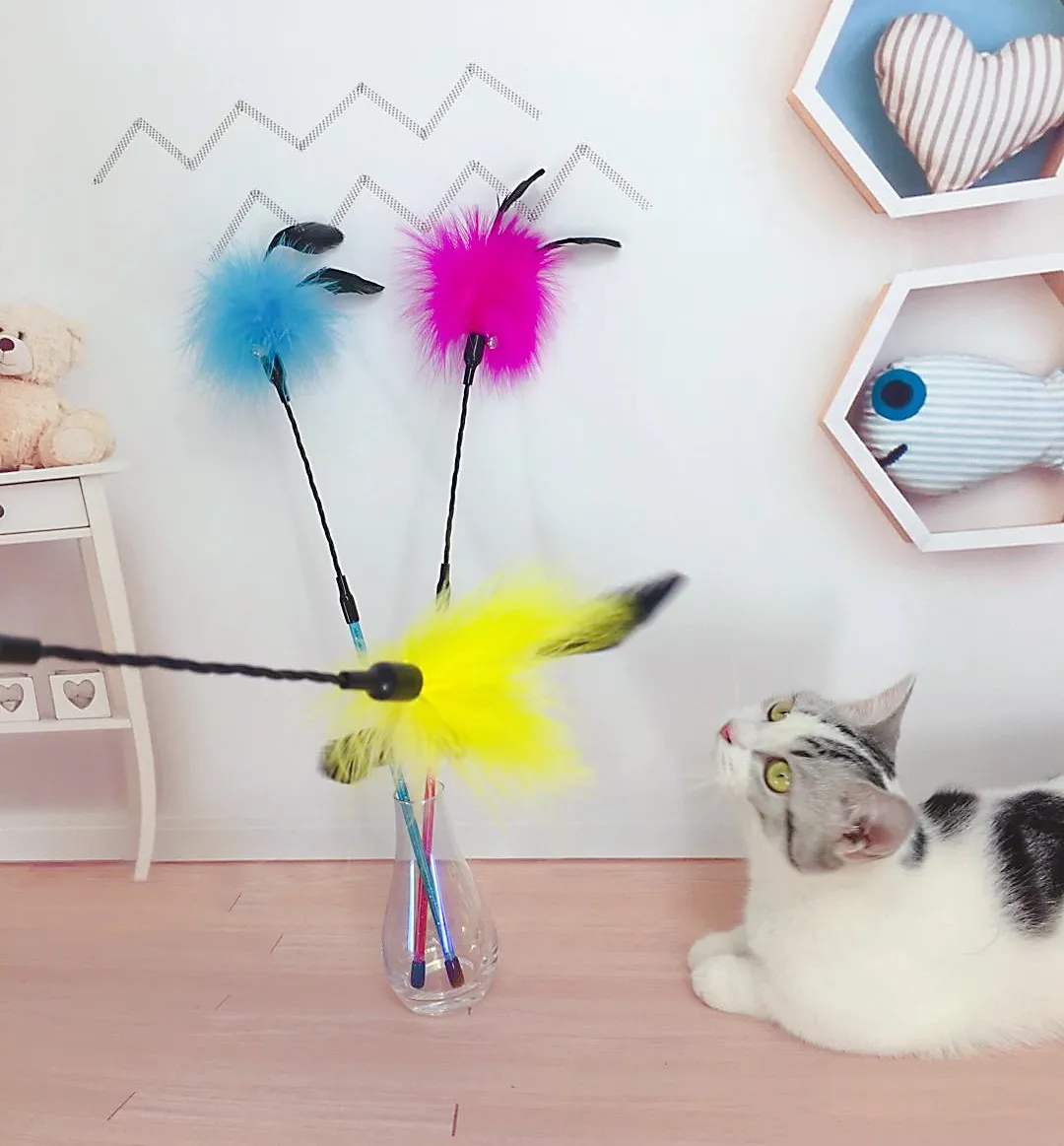 Gato jugando con el palo de plumas