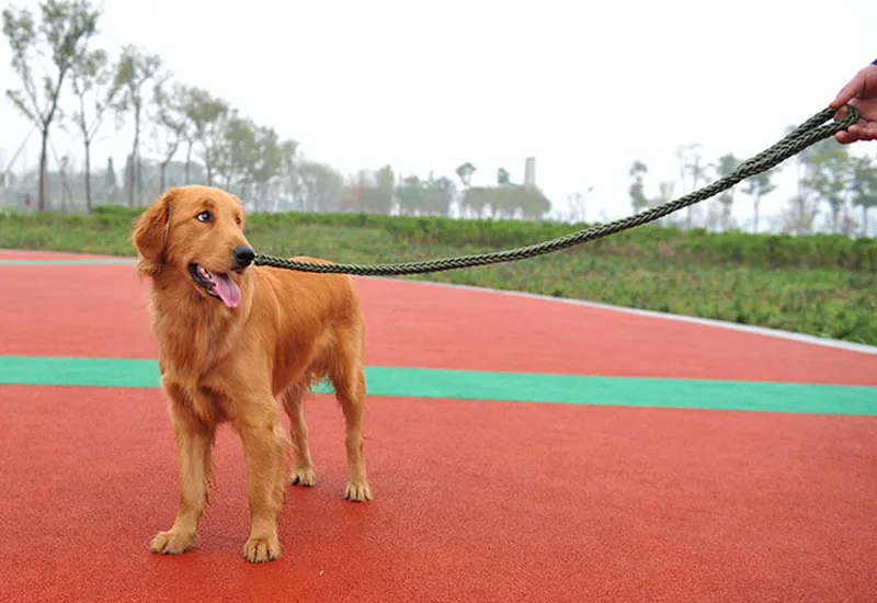 Colores disponibles del arnés para perros