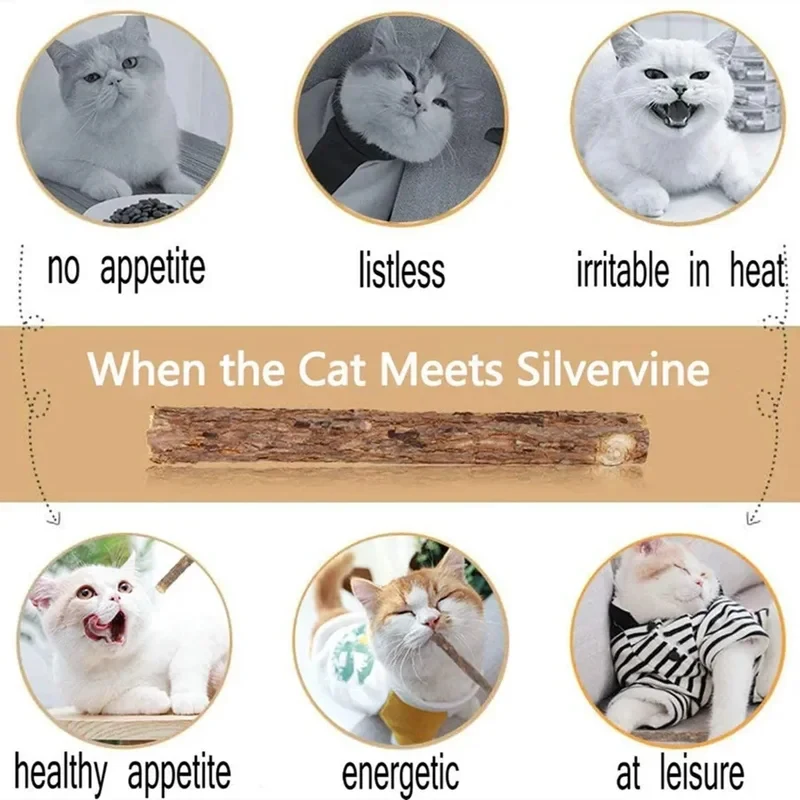 Palitos masticables de matatabi con catnip para gatos, limpieza dental