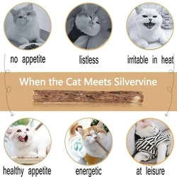 Palitos masticables de matatabi con catnip para gatos, limpieza dental
