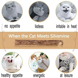 Palitos masticables de matatabi con catnip para gatos, limpieza dental