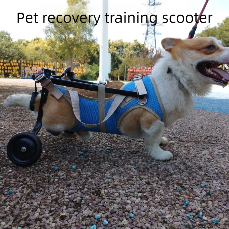 Silla de ruedas para perros con discapacidad: carrito rehabilitación