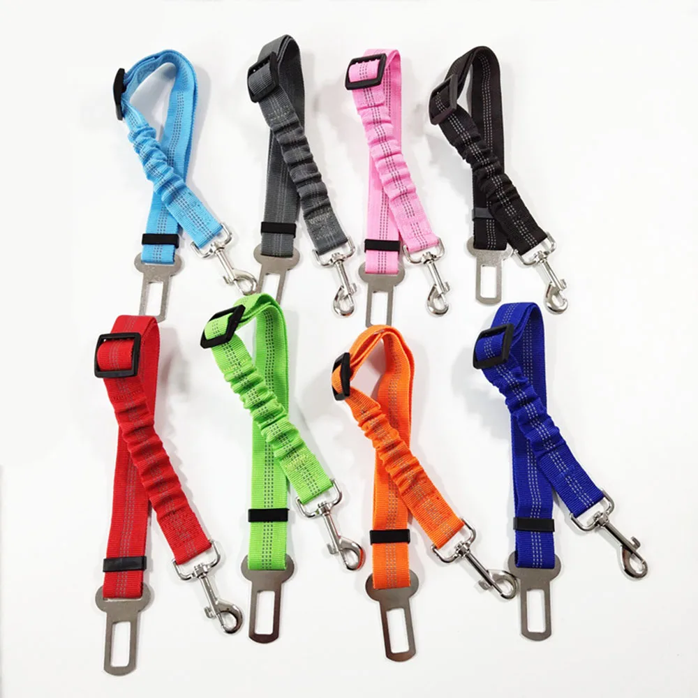 Cinturón de seguridad para perros en coche